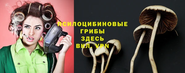 первитин Козловка