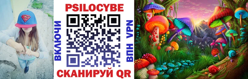 Псилоцибиновые грибы MAGIC MUSHROOMS  Купить  Черногорск 